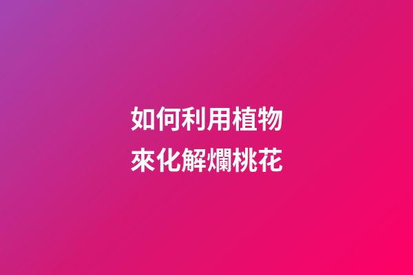 如何利用植物來化解爛桃花