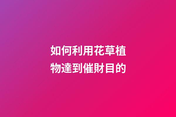 如何利用花草植物達到催財目的
