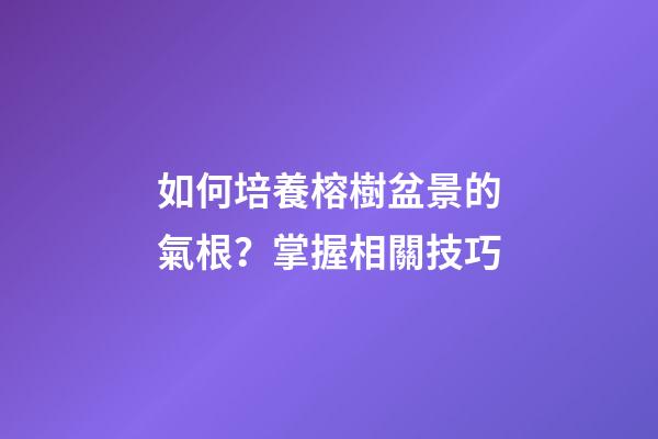 如何培養榕樹盆景的氣根？掌握相關技巧