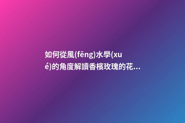 如何從風(fēng)水學(xué)的角度解讀香檳玫瑰的花語(yǔ)？（香檳玫瑰的花語(yǔ)和象征）