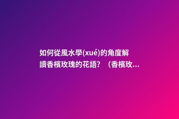 如何從風水學(xué)的角度解讀香檳玫瑰的花語？（香檳玫瑰的花語和象征）
