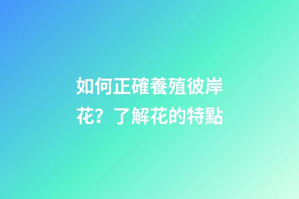 如何正確養殖彼岸花？了解花的特點