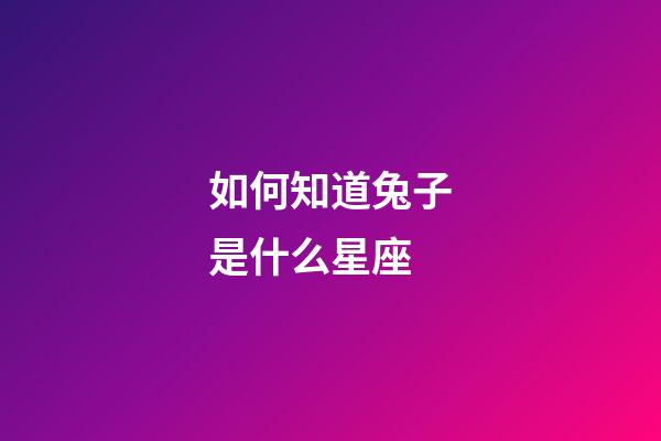 如何知道兔子是什么星座-第1張-星座運勢-玄機派