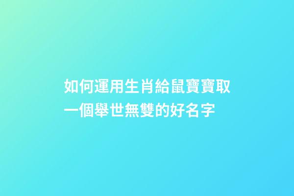 如何運用生肖給鼠寶寶取一個舉世無雙的好名字