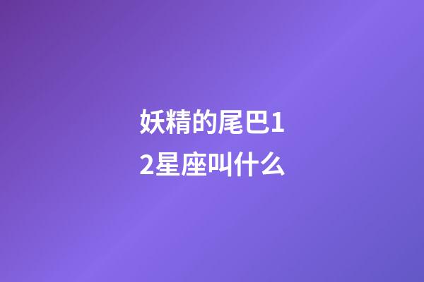 妖精的尾巴12星座叫什么