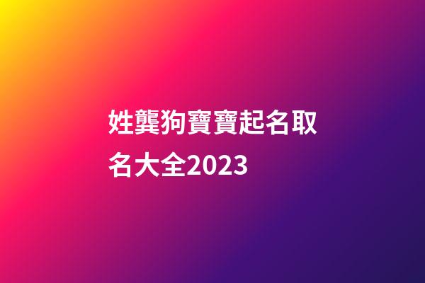 姓龔狗寶寶起名取名大全2023