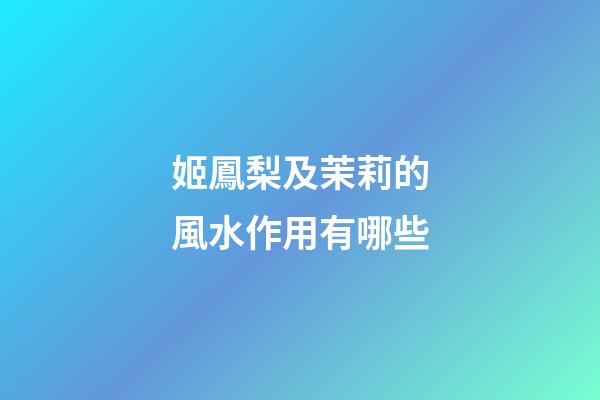 姬鳳梨及茉莉的風水作用有哪些?