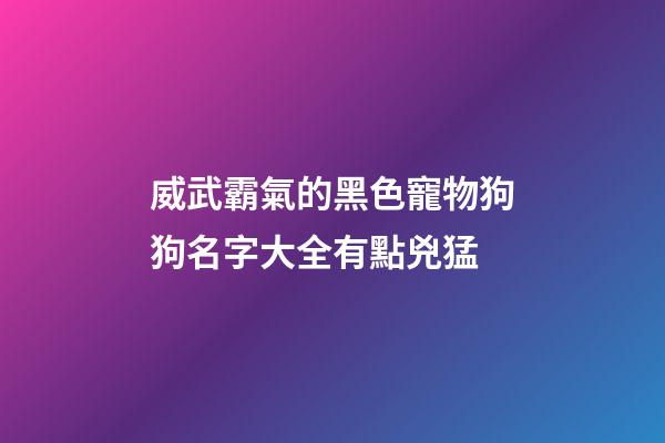 威武霸氣的黑色寵物狗狗名字大全有點兇猛