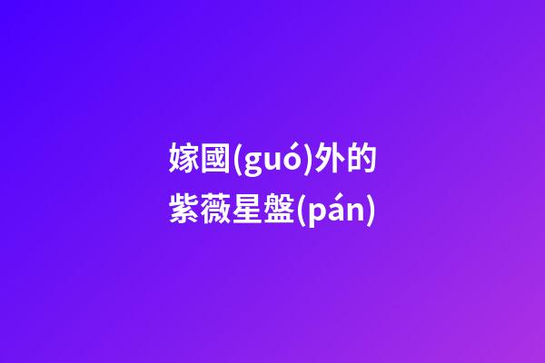 嫁國(guó)外的紫薇星盤(pán)