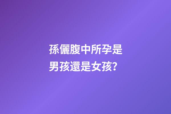 孫儷腹中所孕是男孩還是女孩？