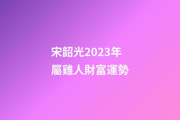 宋韶光2023年屬雞人財富運勢
