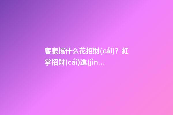 客廳擺什么花招財(cái)？紅掌招財(cái)進(jìn)寶
