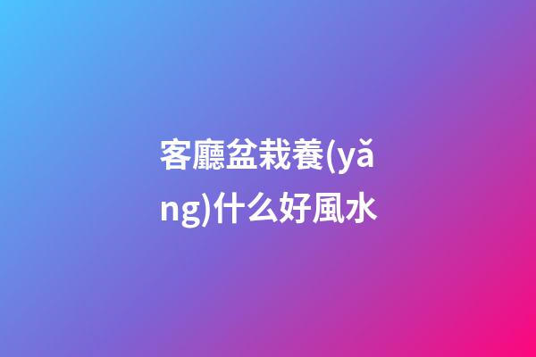 客廳盆栽養(yǎng)什么好風水