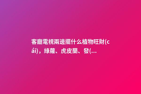 客廳電視兩邊擺什么植物旺財(cái)，綠蘿、虎皮蘭、發(fā)財(cái)樹(shù)