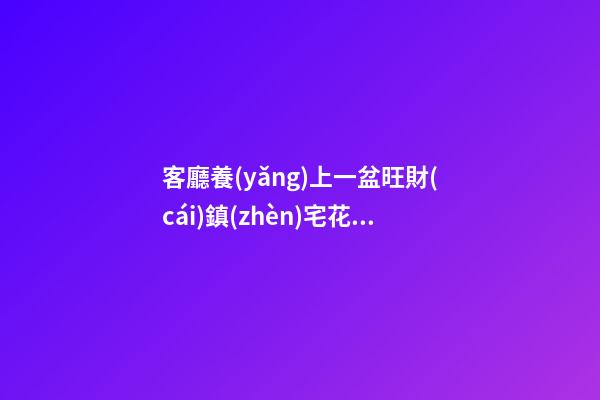 客廳養(yǎng)上一盆旺財(cái)鎮(zhèn)宅花，事事順意，就等著財(cái)源滾滾來吧！