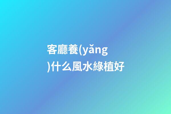 客廳養(yǎng)什么風水綠植好