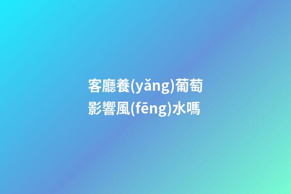 客廳養(yǎng)葡萄影響風(fēng)水嗎