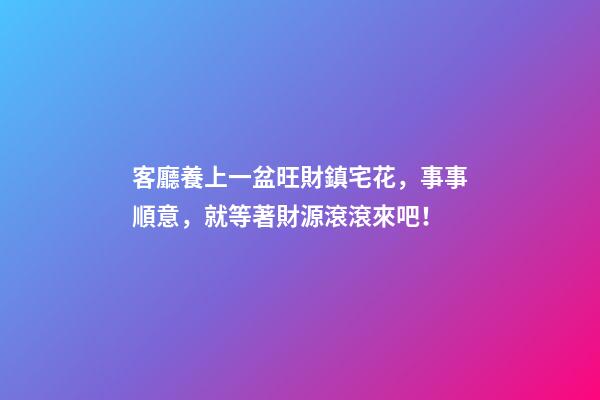 客廳養上一盆旺財鎮宅花，事事順意，就等著財源滾滾來吧！