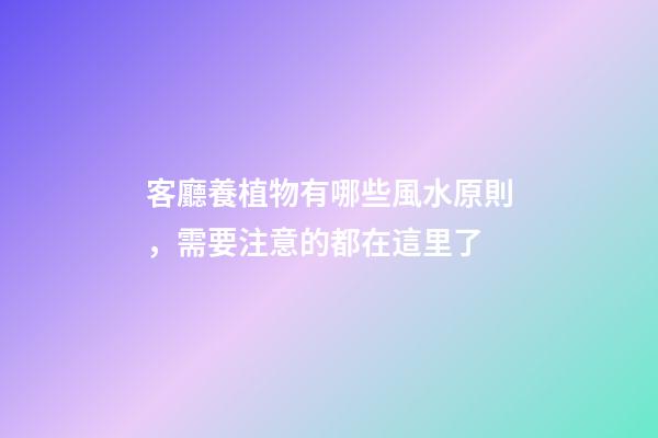 客廳養植物有哪些風水原則，需要注意的都在這里了