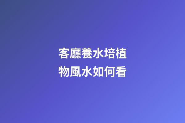 客廳養水培植物風水如何看
