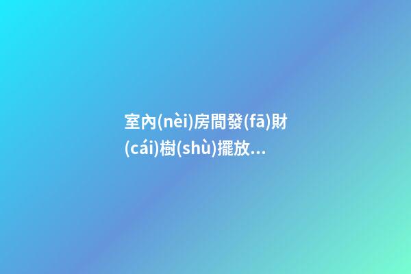 室內(nèi)房間發(fā)財(cái)樹(shù)擺放風(fēng)水6