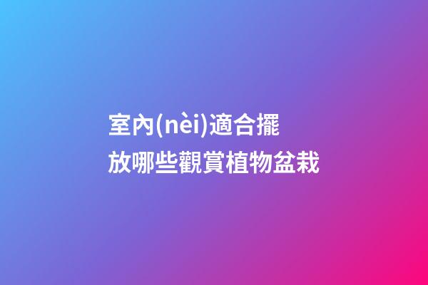 室內(nèi)適合擺放哪些觀賞植物盆栽