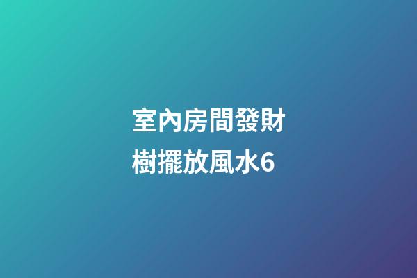 室內房間發財樹擺放風水6