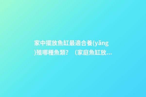 家中擺放魚缸最適合養(yǎng)殖哪種魚類？（家庭魚缸放什么魚最好）