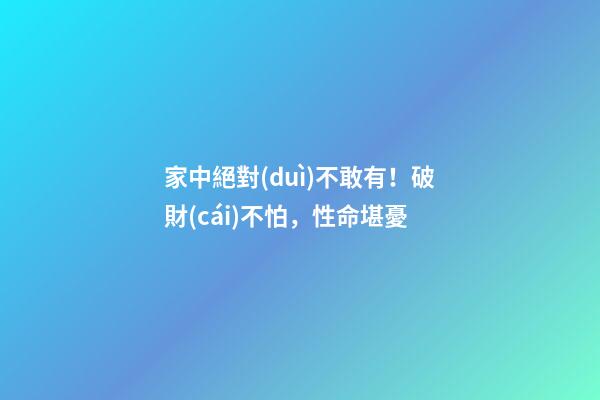 家中絕對(duì)不敢有！破財(cái)不怕，性命堪憂