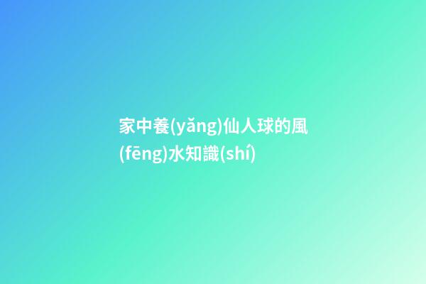 家中養(yǎng)仙人球的風(fēng)水知識(shí)