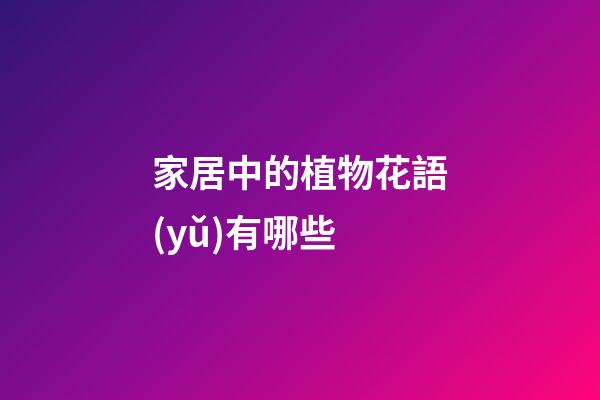 家居中的植物花語(yǔ)有哪些