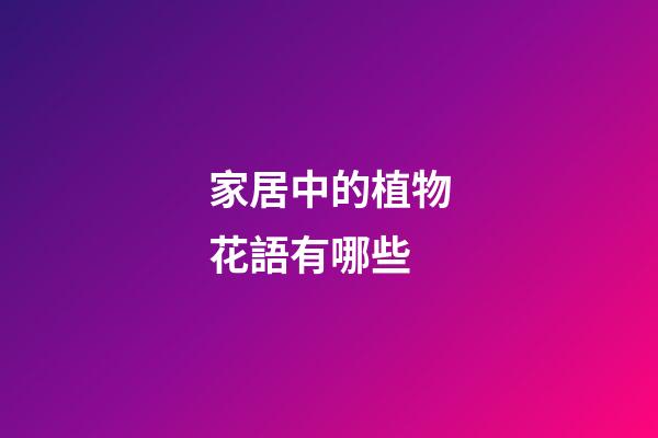 家居中的植物花語有哪些
