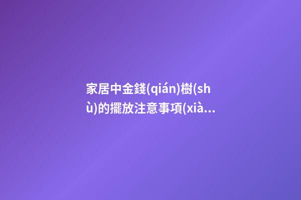 家居中金錢(qián)樹(shù)的擺放注意事項(xiàng)，全注意了好運(yùn)就來(lái)了！