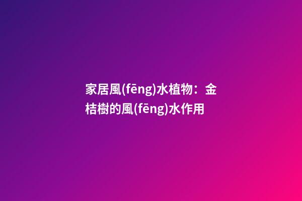 家居風(fēng)水植物：金桔樹的風(fēng)水作用