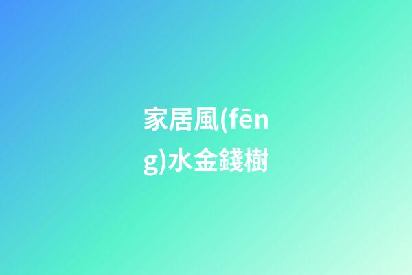 家居風(fēng)水金錢樹