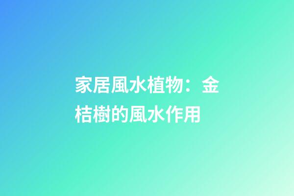 家居風水植物：金桔樹的風水作用
