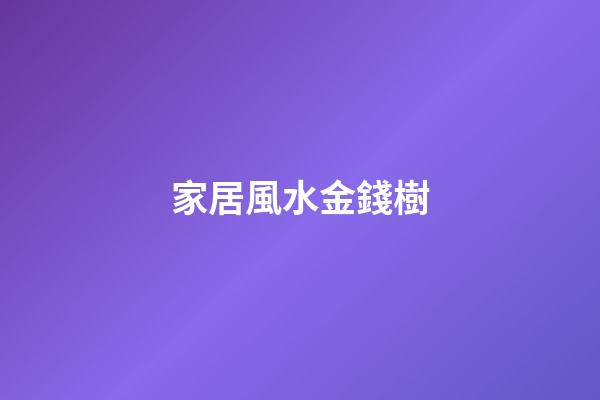 家居風水金錢樹