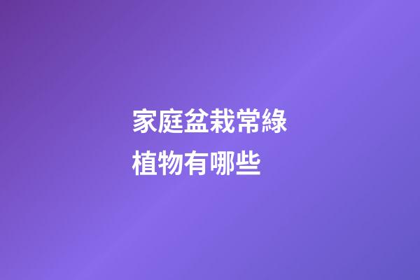 家庭盆栽常綠植物有哪些