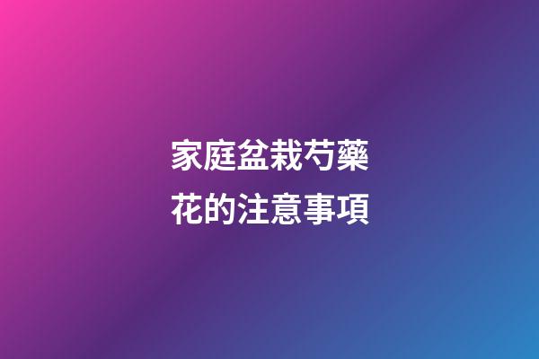 家庭盆栽芍藥花的注意事項