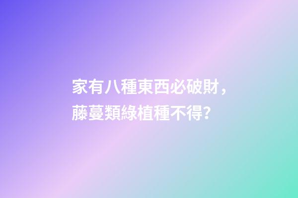 家有八種東西必破財，藤蔓類綠植種不得？