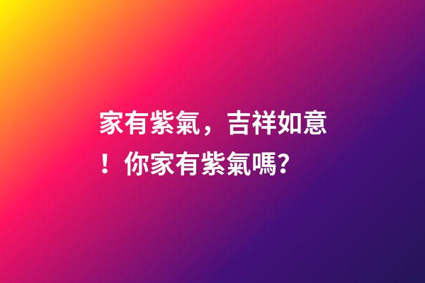 家有紫氣，吉祥如意！你家有紫氣嗎？