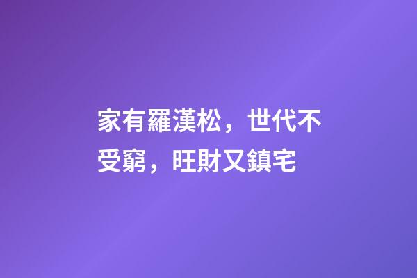家有羅漢松，世代不受窮，旺財又鎮宅