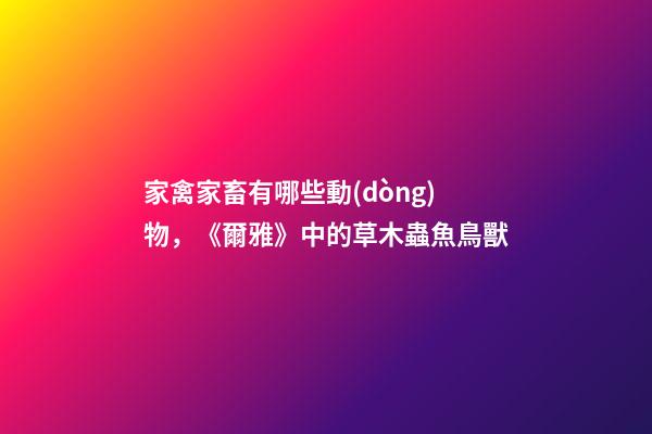 家禽家畜有哪些動(dòng)物，《爾雅》中的草木蟲魚鳥獸-第1張-觀點(diǎn)-玄機(jī)派
