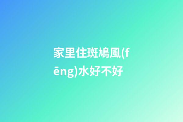家里住斑鳩風(fēng)水好不好