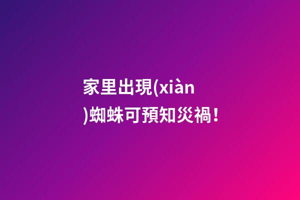 家里出現(xiàn)蜘蛛可預知災禍！