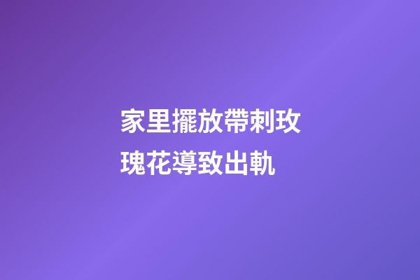 家里擺放帶刺玫瑰花導致出軌