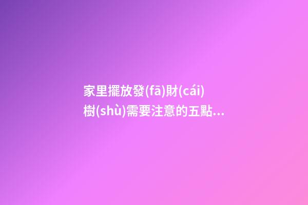 家里擺放發(fā)財(cái)樹(shù)需要注意的五點(diǎn)