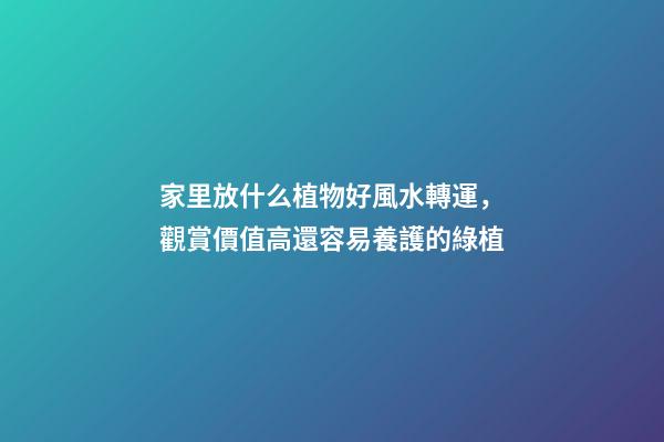 家里放什么植物好風水轉運，觀賞價值高還容易養護的綠植-第1張-觀點-玄機派