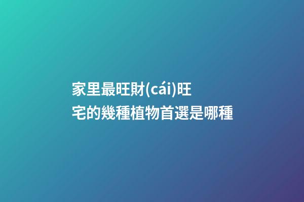 家里最旺財(cái)旺宅的幾種植物首選是哪種