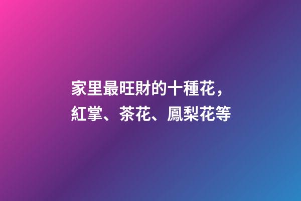 家里最旺財的十種花，紅掌、茶花、鳳梨花等